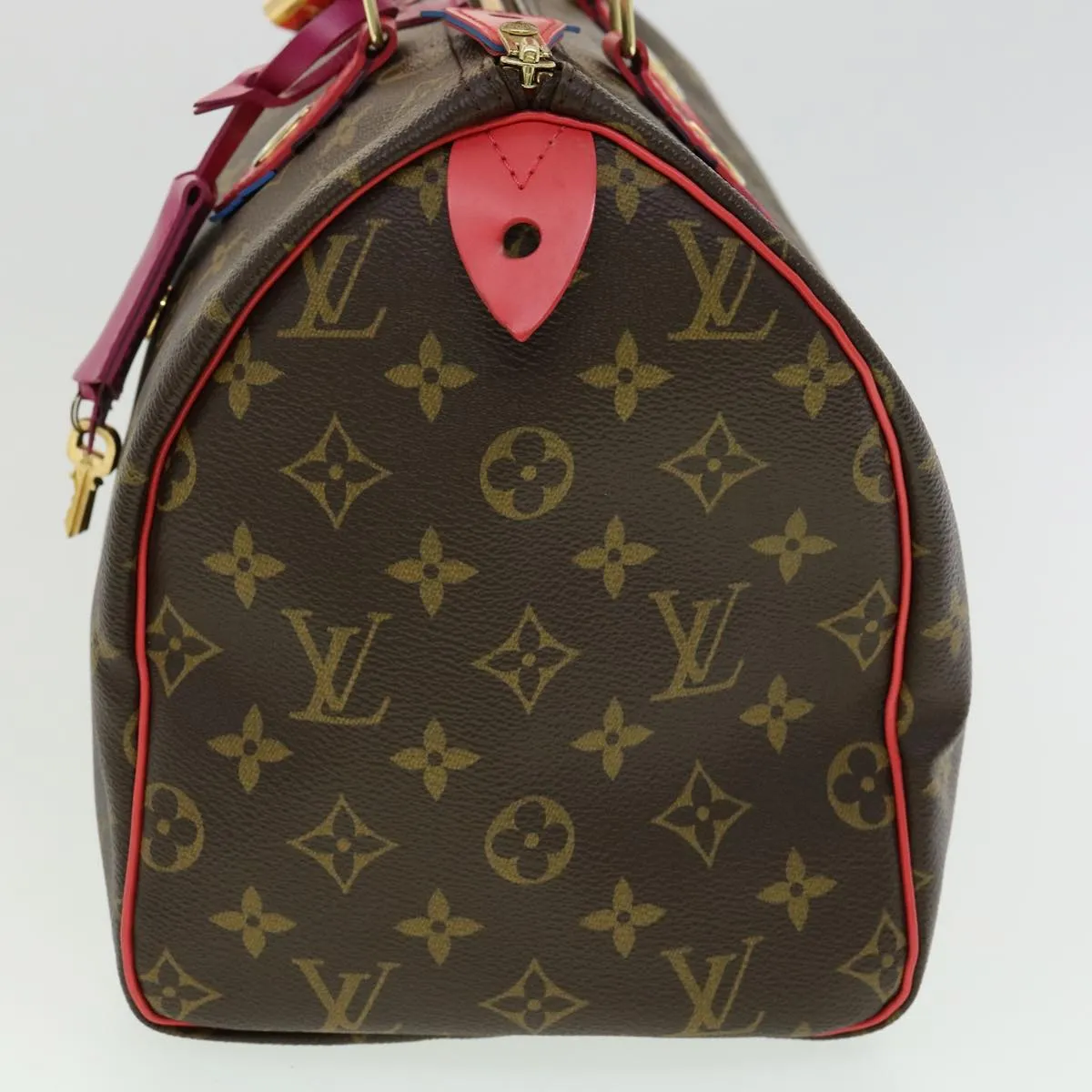 LOUIS VUITTON Monogram Totem Speedy 30 Hand Bag M41666 LV Auth bs2099A